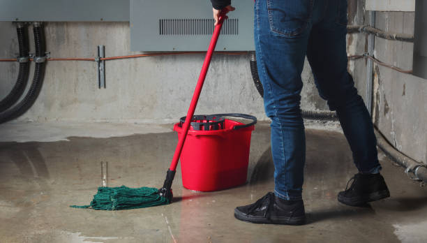 Best Carpet water damage restoration  in Fair Lakes, VA