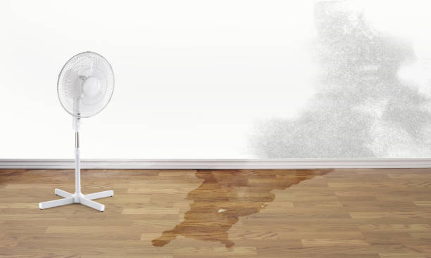 Best Basement water damage restoration  in Fair Lakes, VA