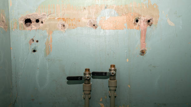 Best Flood restoration services  in Fair Lakes, VA